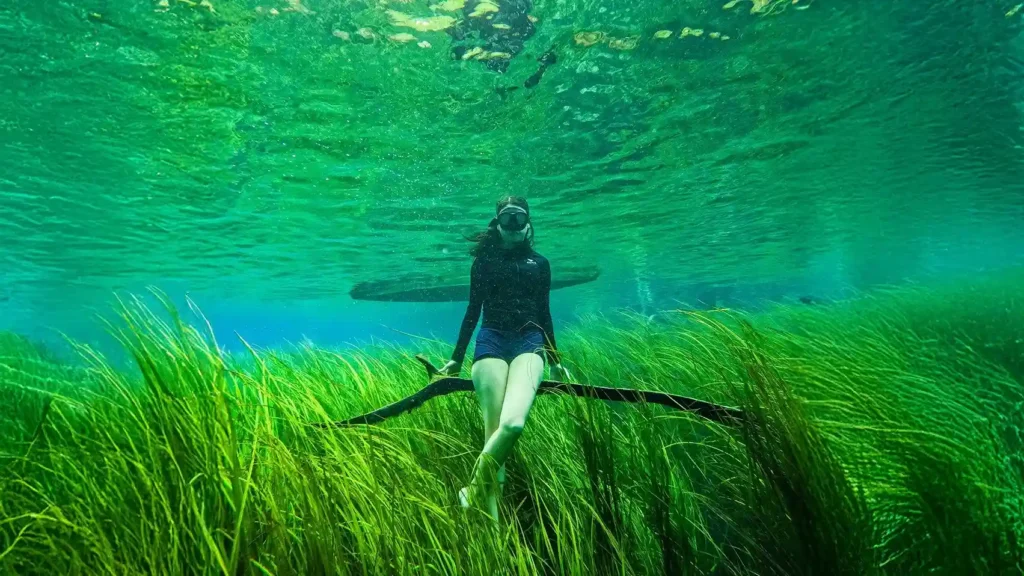 Snorkeling