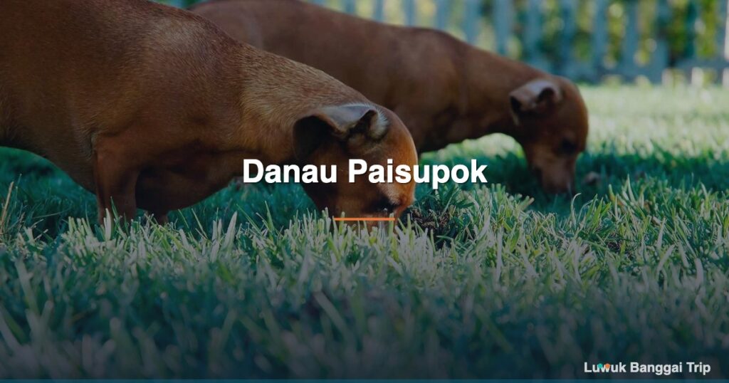 Danau Paisupok Luwuk Banggai — Danau Biru Sebening Kaca