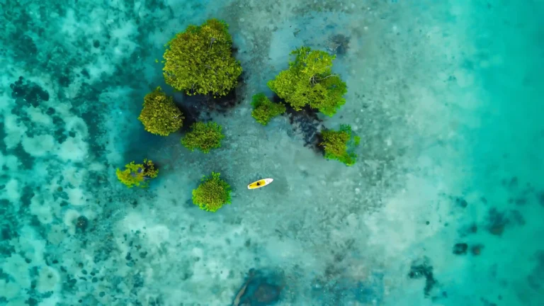 Paket Wisata Luwuk Banggai 1 Hari – Petualangan Singkat