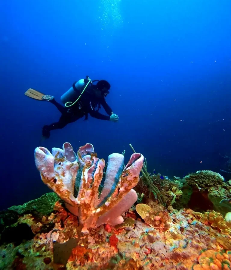 Diving